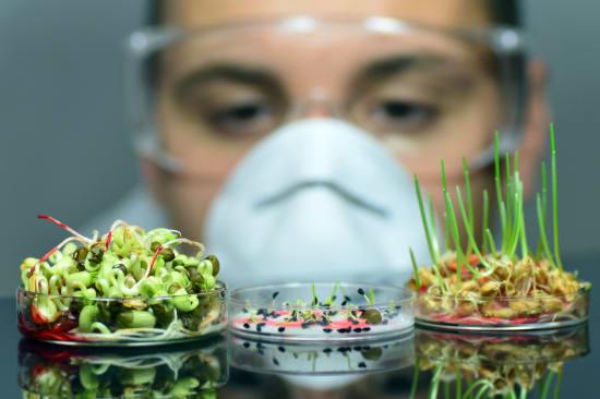 Neue genomische Techniken (NGT) – EFSA-Update