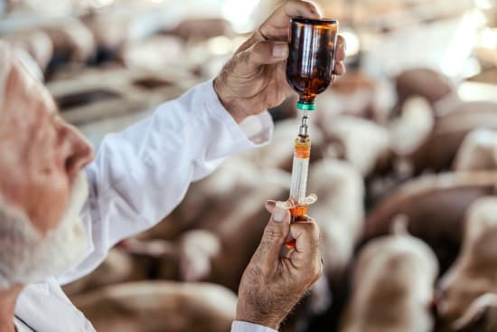 Rückstände pharmakologisch wirksamer Stoffe – Untersuchungsergebnisse aus dem Jahr 2024