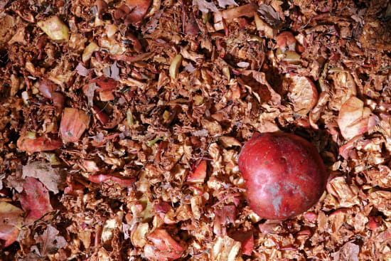 Apfelabfälle in Profit und Protein verwandeln