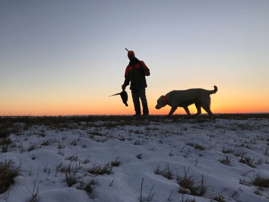 Standardisiertes Prüfverfahren für Jagdbüchsengeschosse 
