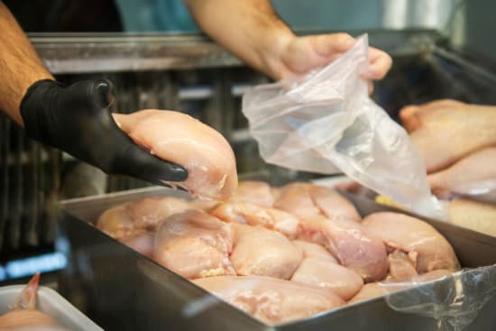 Geflügel untersucht