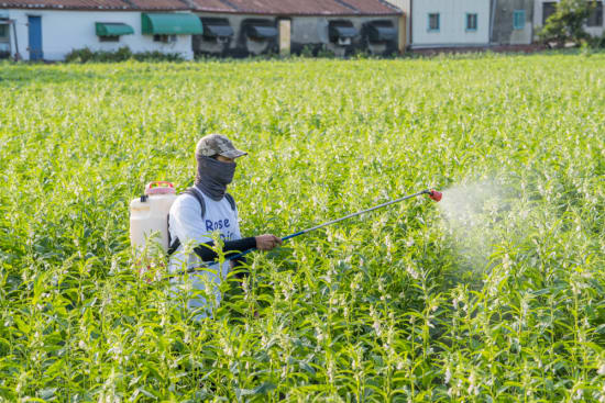 Vorläufige gesundheitsbasierte Referenzwerte für 2-Chlorethanol abgeleitet
