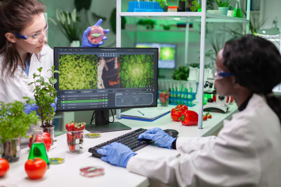 Genehmigung und Zulassung von gentechnisch veränderten Lebensmitteln