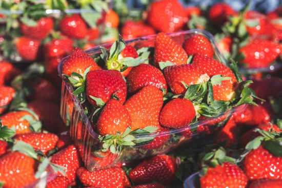 Frosch-Peptid könnte Erdbeeren länger frisch halten