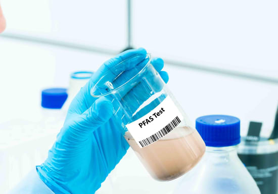 PFAS in Lebensmittelverpackungen verboten