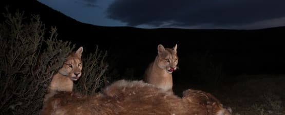 Nominiert | WORLD PRESS PHOTO 