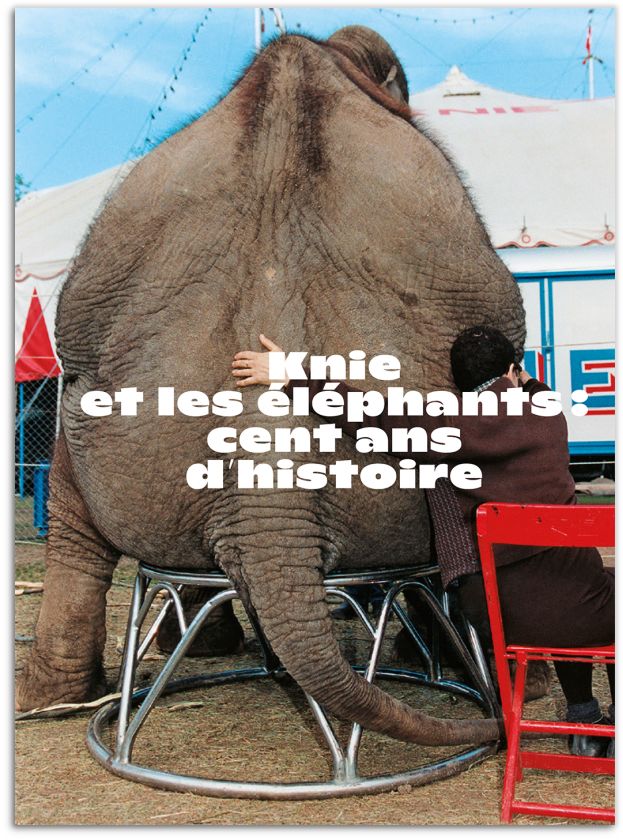 Knie et les éléphants : cent ans d’histoire