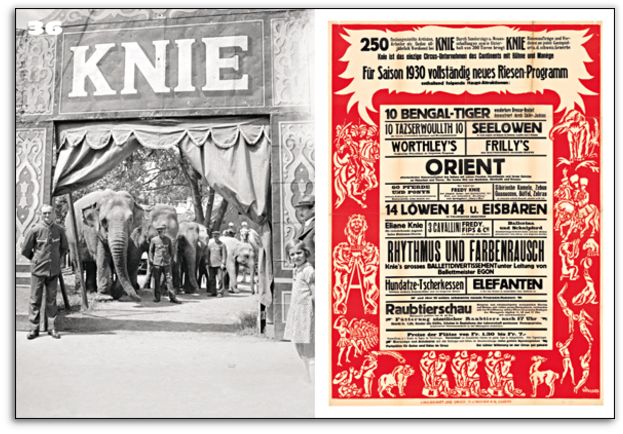 Knie et les éléphants : cent ans d’histoire