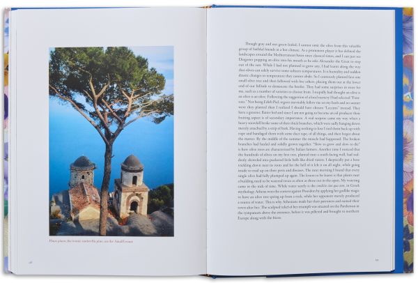 Green Thoughts and Memories