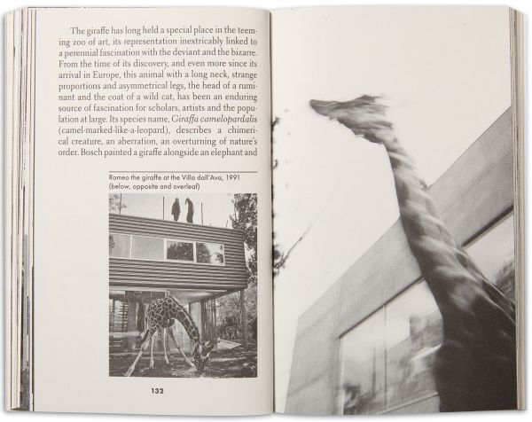 The House of Doctor Koolhaas