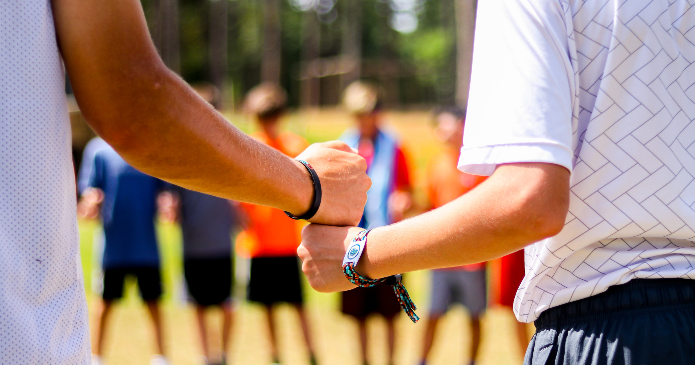 The Essence of Pine Cove Pine Cove