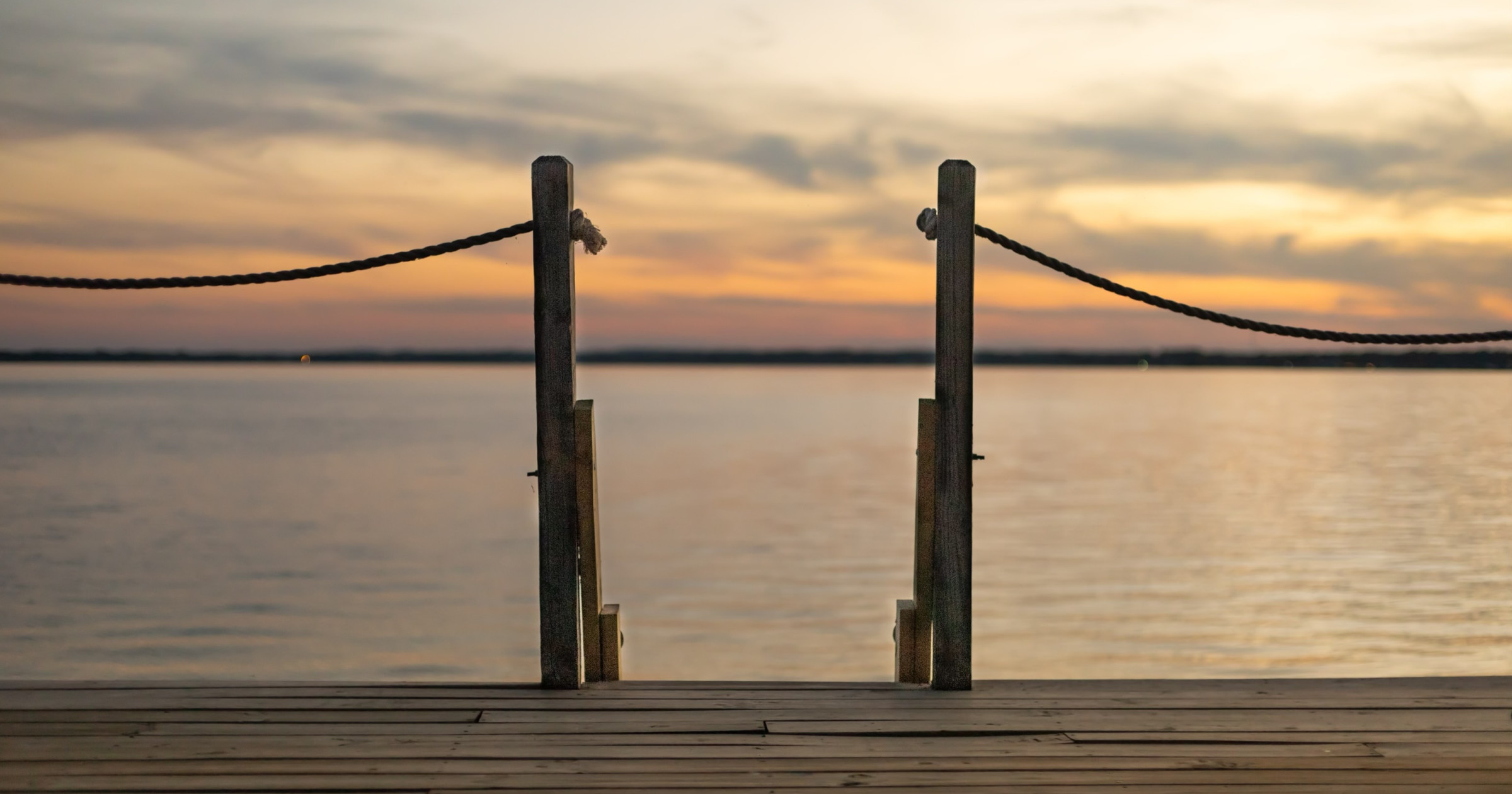 The Pine Cove’s Newest Collaboration Pine Cove