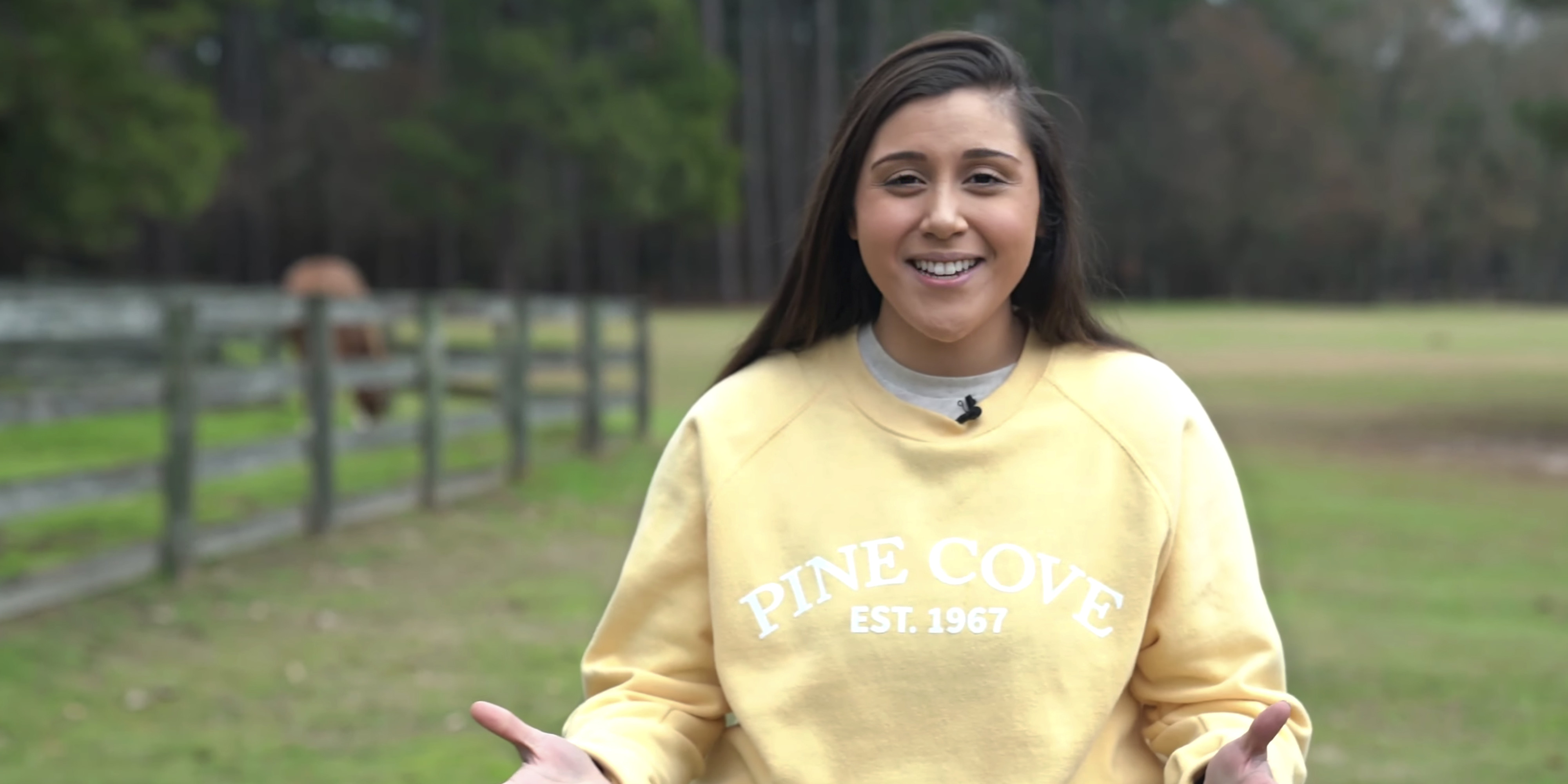 25 Core Values for Your Family Pine Cove