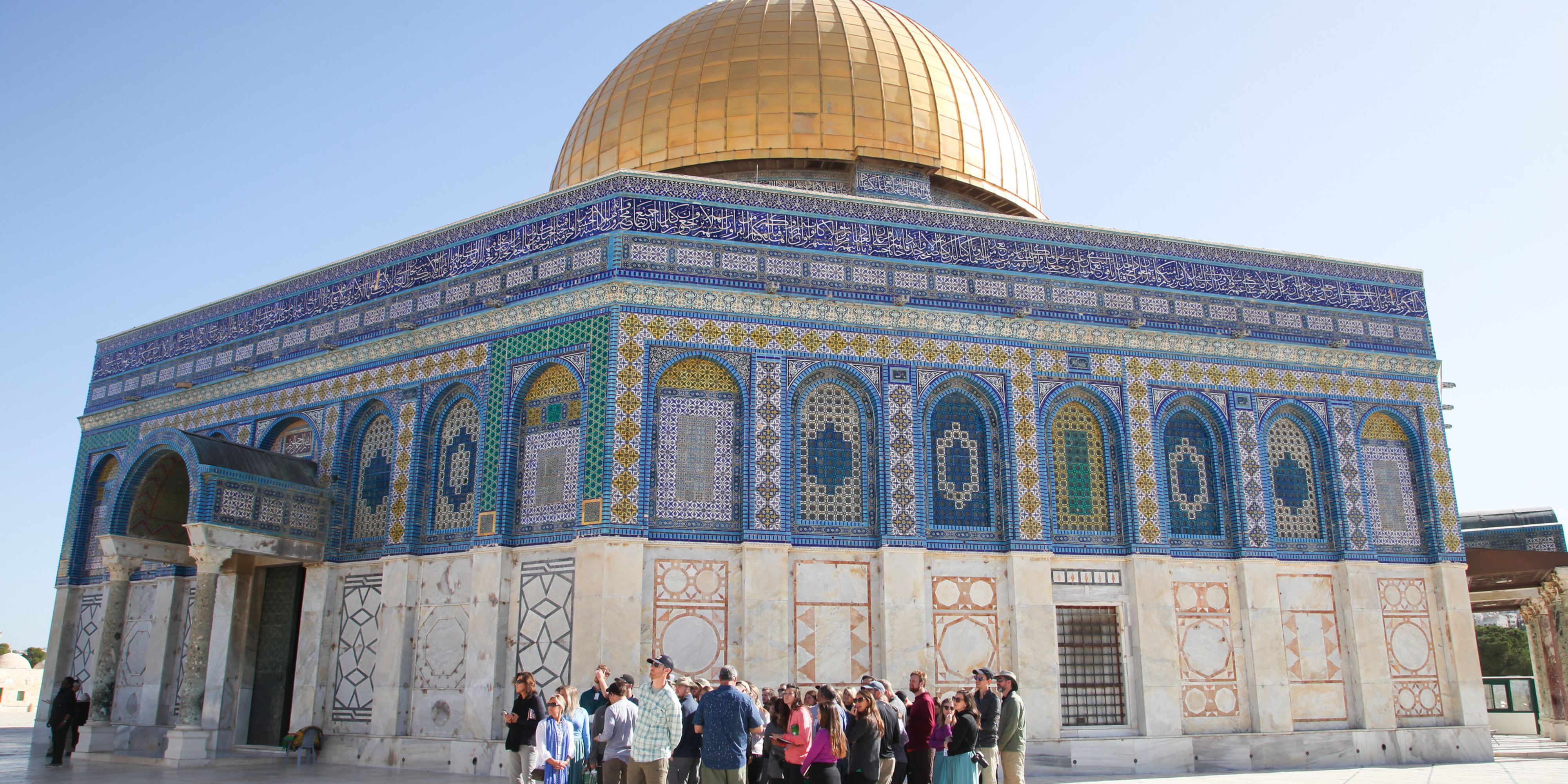 Spotlight Xenia Pine Cove