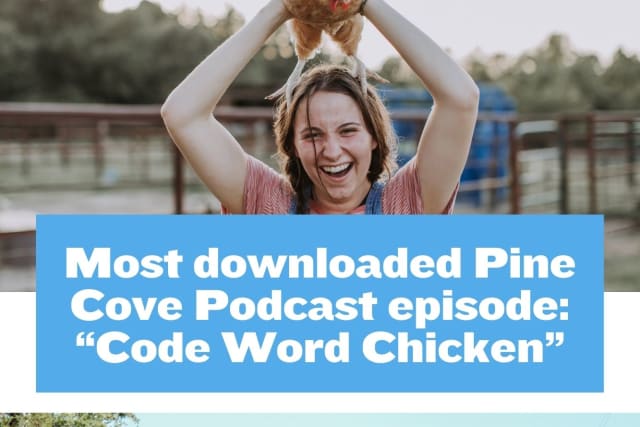 insidethecove%2Fpodcastandwake-mobile