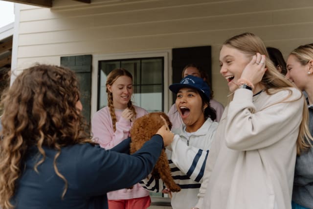 FishFish_Tues_4_s8wenr