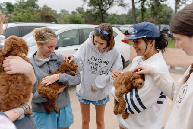 FishFish_Tues_6_tu0nqq