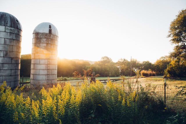 Chimney Point Silos