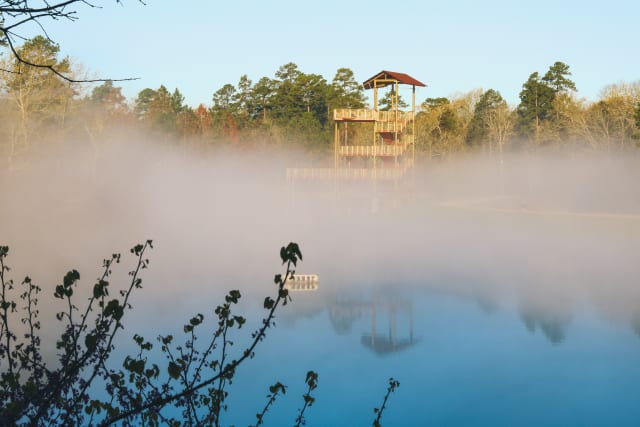 Full-Time Staff Retreat Recap - Pine Cove