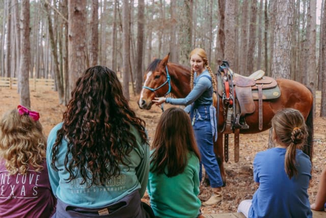 insidethecove%2F21BluffsNYEconf_horse