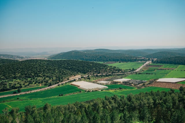 insidethecove%2Fforge_israel_2020_Azekah_Elah_Valley