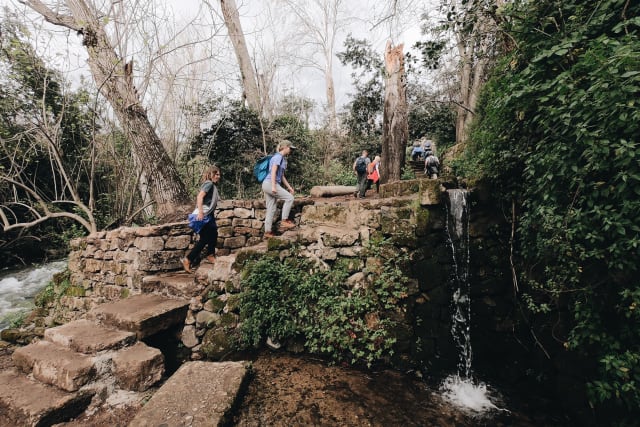 insidethecove%2Fforge_israel_2020_Caesarea_Philippi_Trail