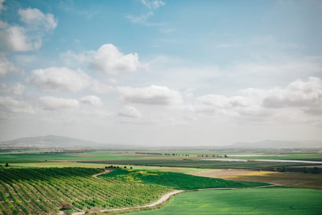 insidethecove%2Fforge_israel_2020_Jezreel_Valley_Megiddo