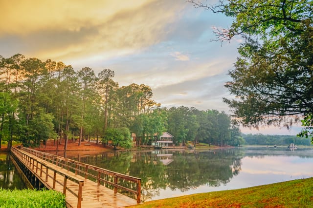 potd%2F23Wo0103-POTD-unedited-bit-5