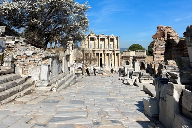 Celsus_Library_o35uaq