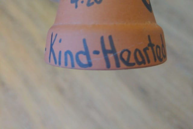 IMG_20240510_132925_oairpn