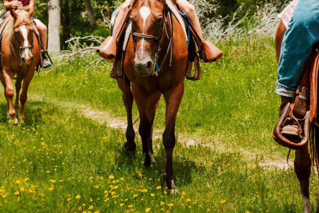 Camper excitedly enjoys a trail ride