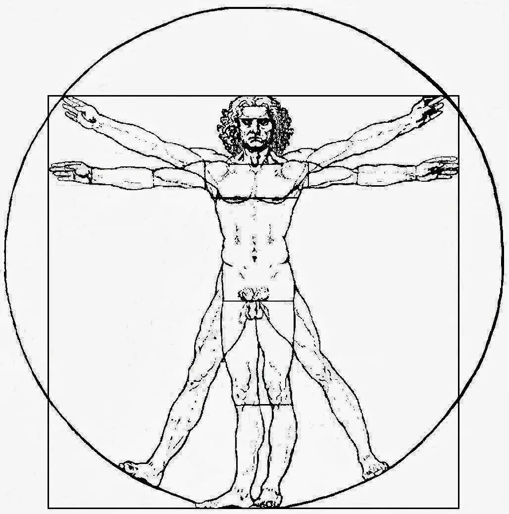 Витрувианский человек картинки