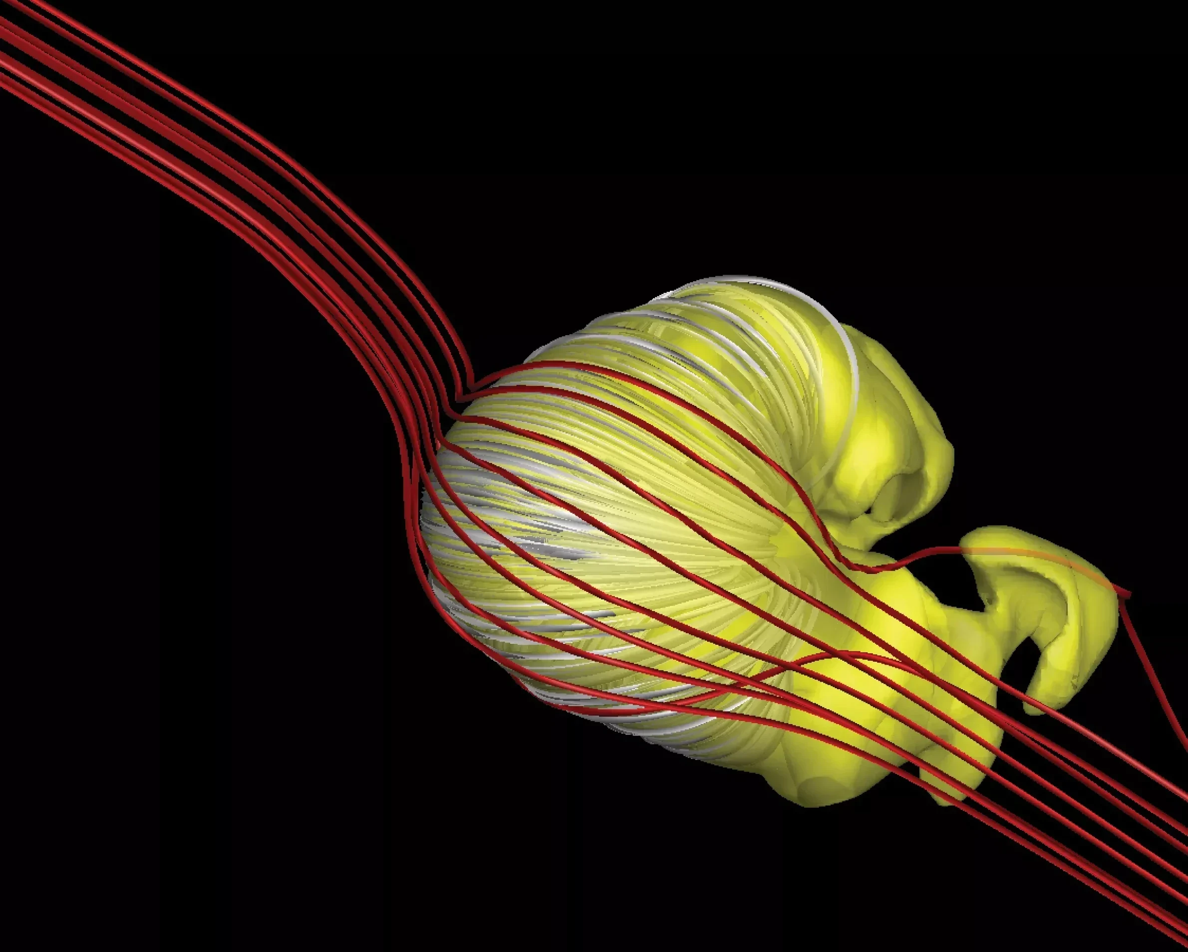 Sistema Solar em forma de croissant: modelo em 3D da heliosfera desenvolvida no novo estudo (Foto: Merav Opher, et. al). Imagem da reportagem.