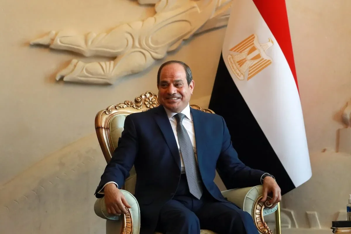 Egypt Rights Records- Egypt Human Rights Abuses- Egypt Sisi Abuses<br>