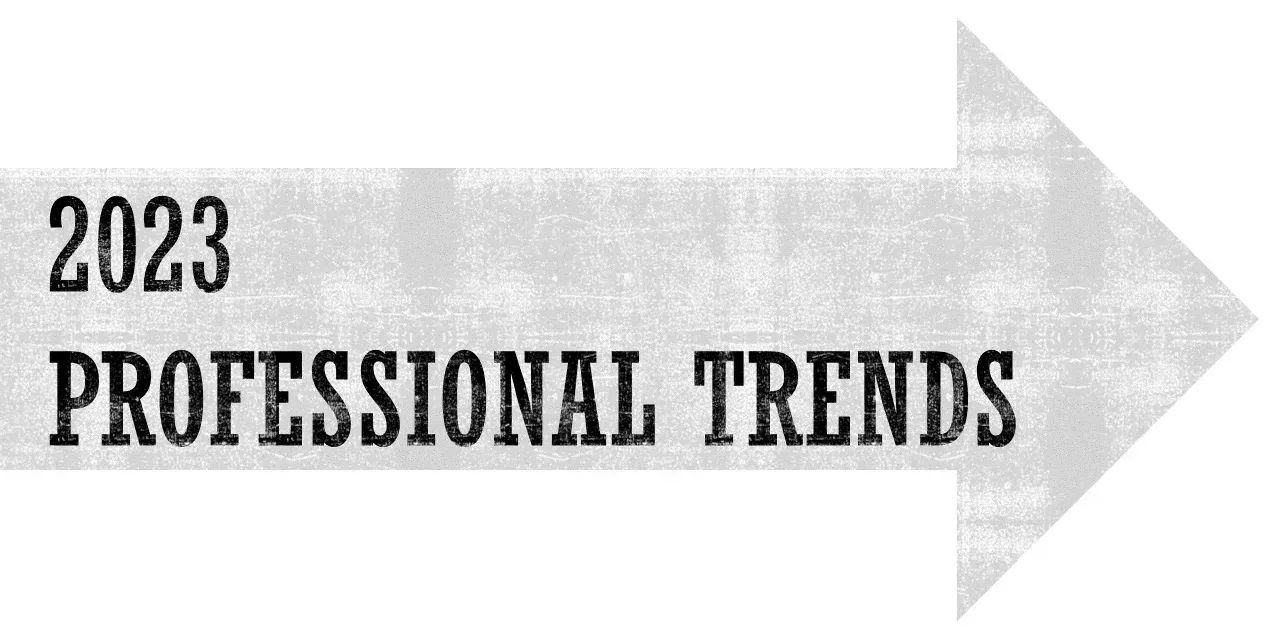 2023 Professional Trends - Pingback - Article by GlauMaurano - Language: Portuguese