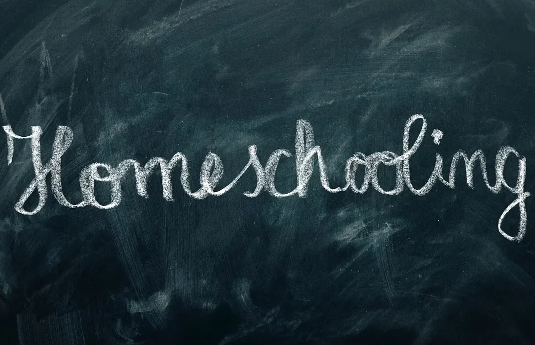 O Homeschooling é uma ótima alternativa para o Brasil