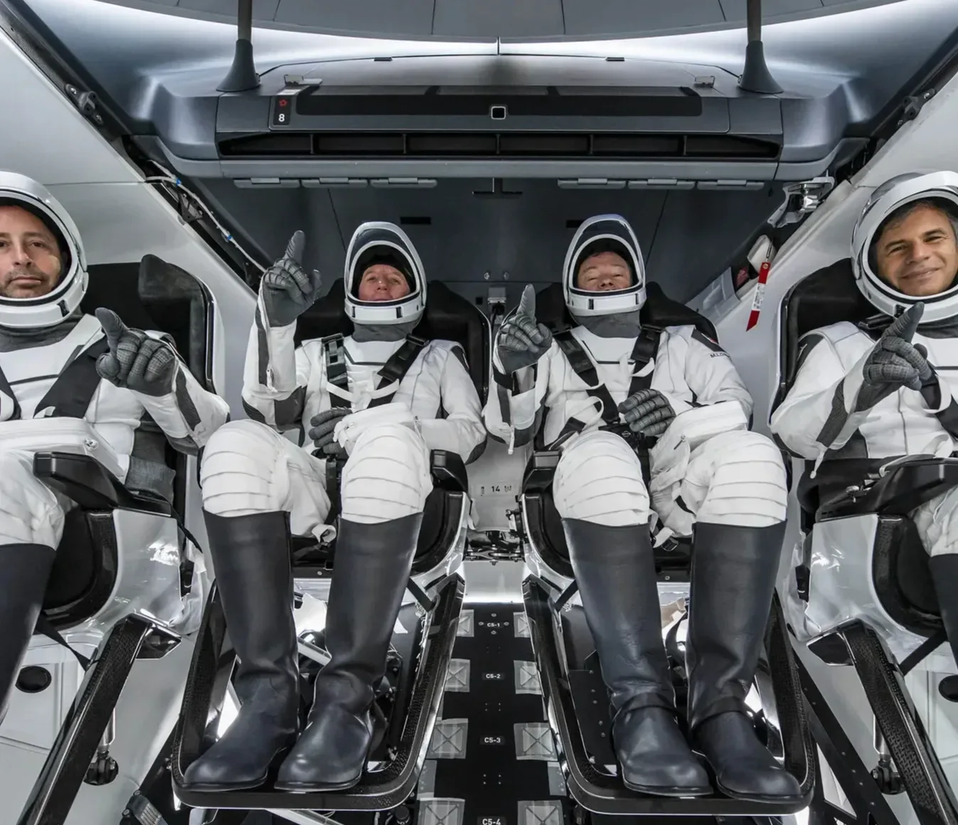 Reprodução: The Verge