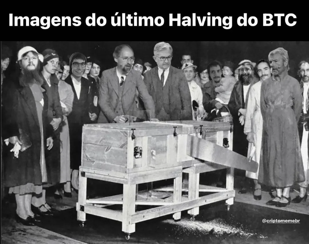 @criptomemebr
