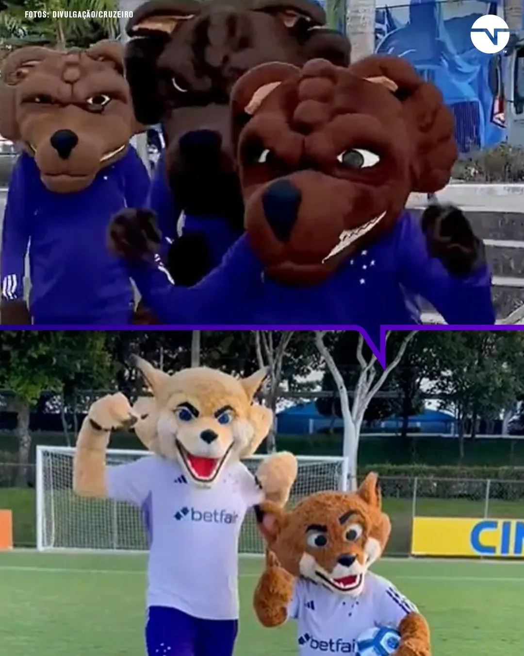 Reprodução: TNT Sports