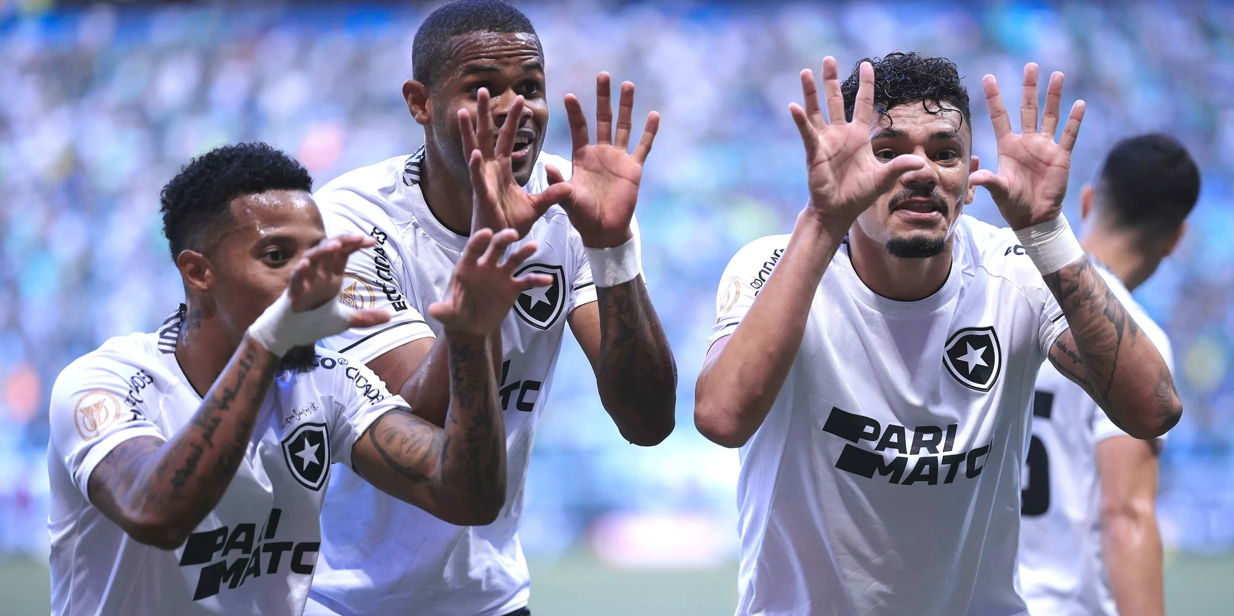 Reprodução: Trivela