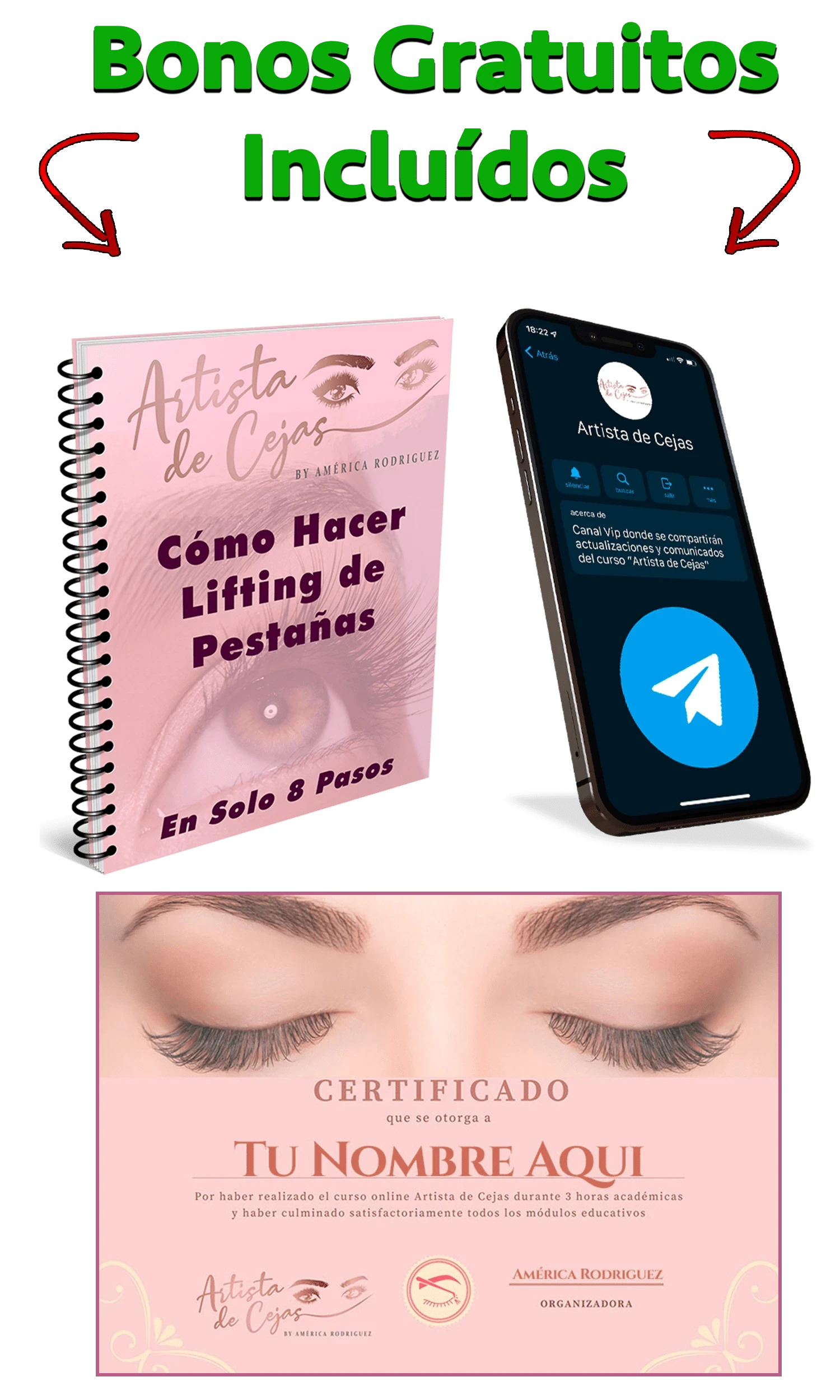 Curso Artista De Cejas Gratis