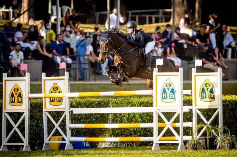 Cavalo sofre lesão durante prova dos Jogos Olímpicos e é