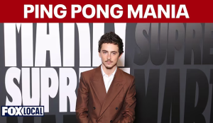 pingpod mania