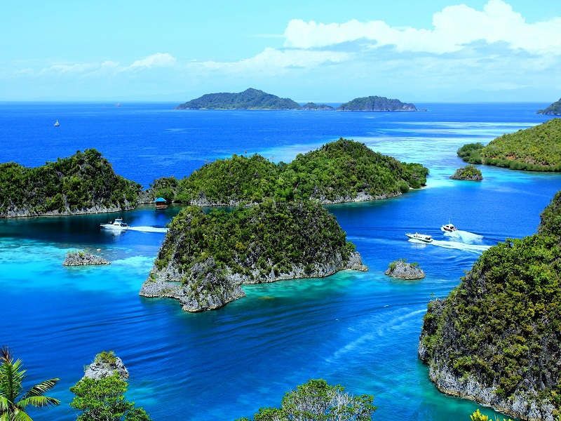 Tempat Wisata di Papua adalah Destinasi Wisata Hijau Impianku, Karena Papua Adalah Indonesia