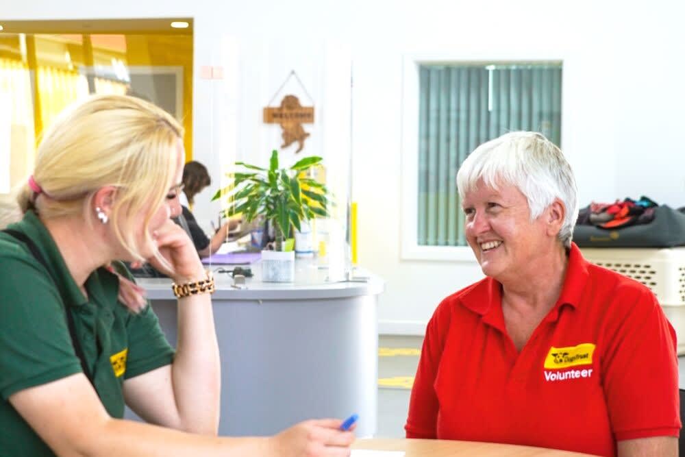 Volunteer and Canine Carer, inside, at reception, engaging in conversation.