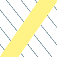 Carey Group logo
