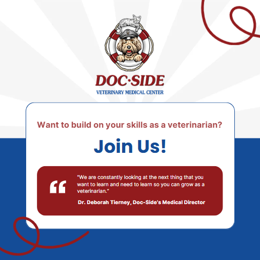 Doc-Side Logo
