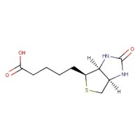 Biotin