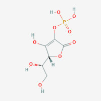 L-Ascorbate-2-Phosphate
