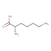 L-Lysine
